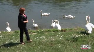 Marta Križanova Dve labute