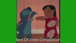 Vines videa z decembra