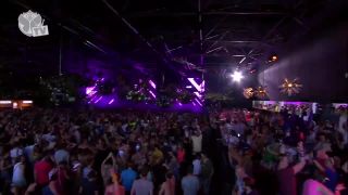Tomorrowland 2013 - Afrojack - Friday