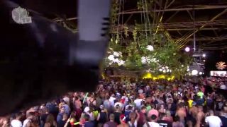 Tomorrowland 2013 - Wolfpack - Sunday