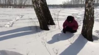 Čeľjabinský meteorit 2013 (dokument)