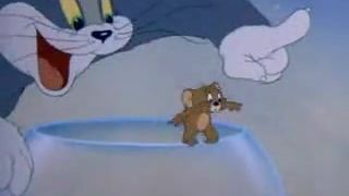 Tom a Jerry - kráska