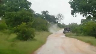 Slon vs auto
