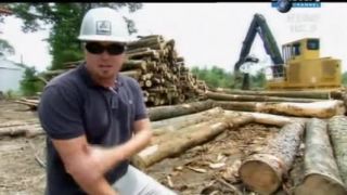 Extrémní dřevorubci - Těžba v bažině