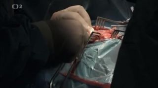 Uvnitř lidského těla: Utváření mozku