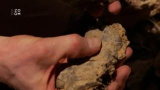 Zvířecí armageddon: Smrtící záření (1.)