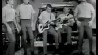 The Beach Boys - I Get Around