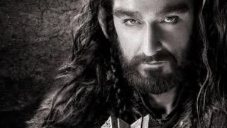 The Misty Mountains Cold - The Hobbit