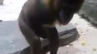 Cililingové dobrodružstva :)