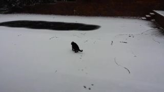 Sophie na snehu