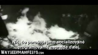 THE WAYSEER MANIFESTO - SK titulky