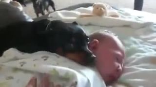 Babo má zjavne aj jednu psiu maminu