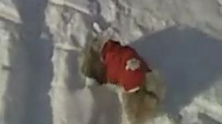 Moj milovany psik Angel,ktory musel necakane odist....Na jeho sp