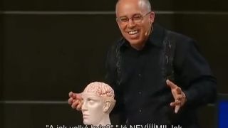 Príbeh o dvoch mozgoch