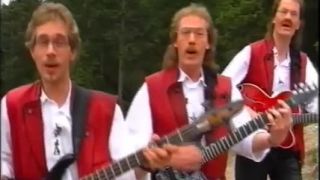 Palemiger Spatzen - Harmonikatijd