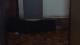 Dávejte větší pozor na své domácí mazlíčky