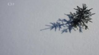 Zmrzlá planeta: Zemské póly
