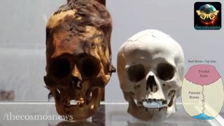 DNA analýza pretiahnuté lebky!!