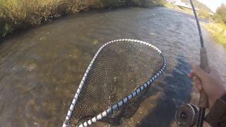 Fly Fishing Milan