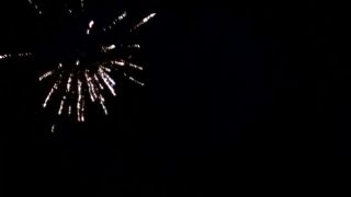 Silvester 2014