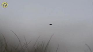 UFO2HD