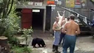 Zabíjačka,ako sa patrí.