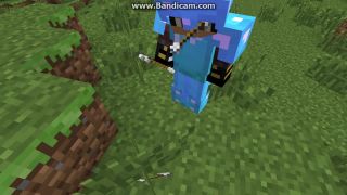 Minecraft amaterské vídeo