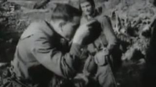 Banderovci (dokument)