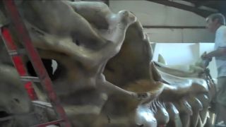 Obrovská lebka draka na pláži