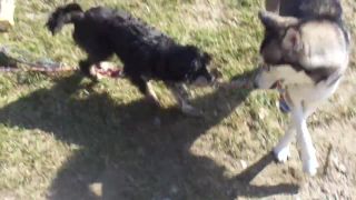 Velký VS Malý :D