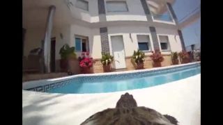 GoPro na korytnačke

