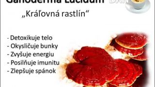 DXN Prezentácia o káve