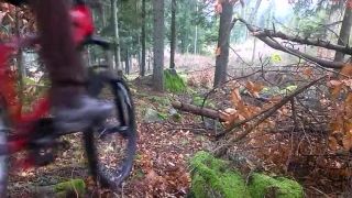 Downhill forest