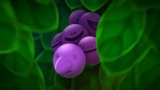 Fruitless Efforts: Fruit of the Womb