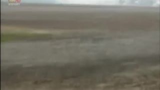 Lovci UFO 1