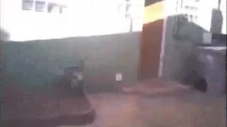 Trhaj!