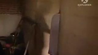 Náctiletí gangsteři 1 diel  Vítejte v gangu (CZ)