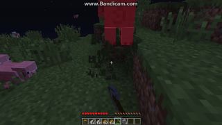 Minecraft stroskotanec 2