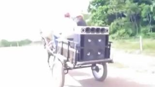 Moderný konský povoz