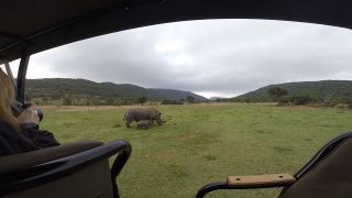 Afrika 2014 #2
