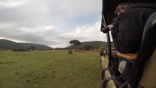 Afrika 2014 #3