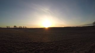 Hornborgasjön - zeriavy part1
