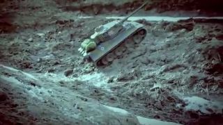 RC model Tigra