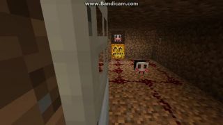 Minecraft SAW