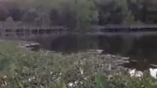 Fanúšik Beara Gryllsa