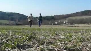 Forest freerun - FreeJumpers crew