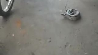 Mačka skoro z kože vyskočila DUBSTEP EDIT