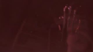 ►Moje Nove Intro