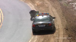 Zlakol sa Policie