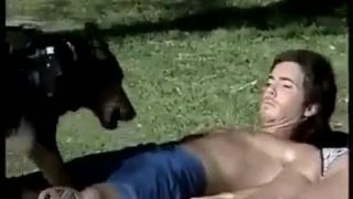 Nachytávka pes